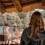 woman in black leather jacket standing beside giraffe during daytime