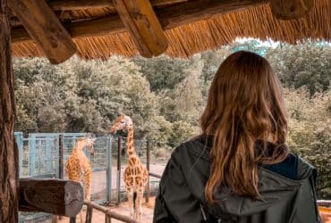 woman in black leather jacket standing beside giraffe during daytime